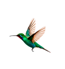 Kuş